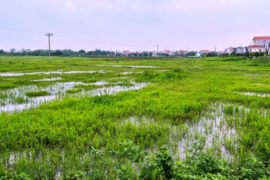 33 dự án khu dân cư, đô thị ở Hải Dương đã giao chủ đầu tư nhưng chưa hoàn thành giải phóng mặt bằng