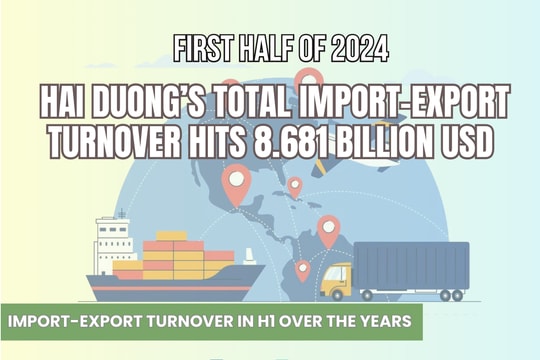 Hai Duong's import-export turnover in H1 nears 8.7 billion USD