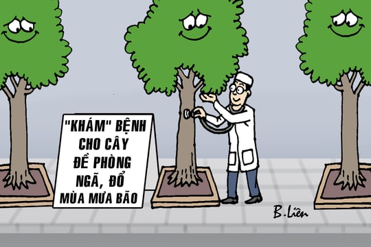 Lo... đổ cây