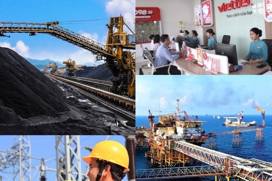 Sửa quy định thực hiện quyền, trách nhiệm của đại diện chủ sở hữu nhà nước
