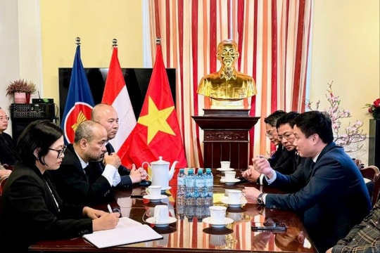 Chủ tịch UBND tỉnh Hải Dương Triệu Thế Hùng xúc tiến đầu tư tại Áo
