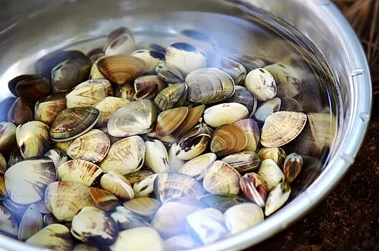 Bốn mẹo làm sạch ngao