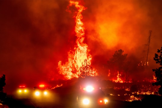 Đám cháy rừng như hỏa ngục tại California
