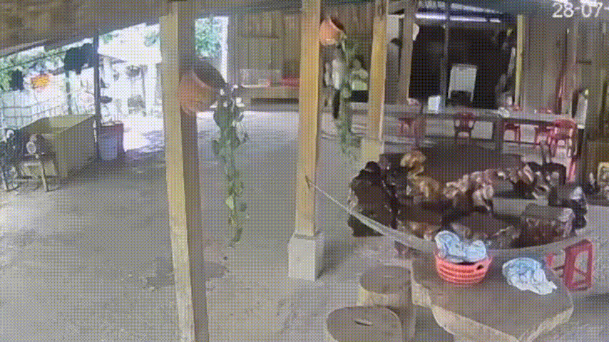 Động đất 5 độ ở Kon Tum làm rung lắc các tỉnh miền Trung, Tây Nguyên