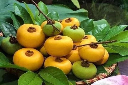 Những mùa thị có bà