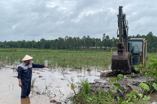 Người đàn ông hoàn lương ở Tứ Kỳ "ôm" ruộng hoang để làm giàu
