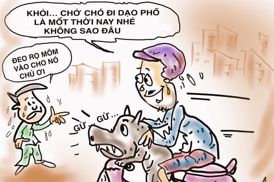 Thú cưng... dạo phố