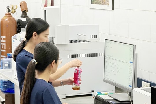 5 người ngộ độc rượu ở Hà Nội: Hàm lượng methanol trong rượu táo mèo vượt ngưỡng trên 40 lần