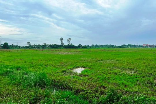 TP Hải Dương đang giải phóng mặt bằng  khu dân cư, đô thị Tân Phú Hưng mở rộng, khu tái định cư trung tâm phường Phạm Ngũ Lão