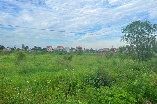 Khu chợ dịch vụ thương mại Tân Việt (Thanh Hà) chậm triển khai