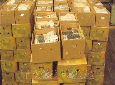 Cảng Antwerp tiếp tục là "điểm nóng" về tội phạm ma túy