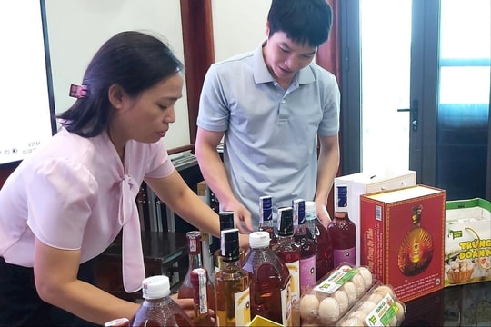 7 loại rượu Phú Lộc (Cẩm Giàng) được công nhận sản phẩm OCOP