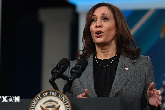 Bà Kamala Harris chính thức trở thành ứng cử viên của Đảng Dân chủ
