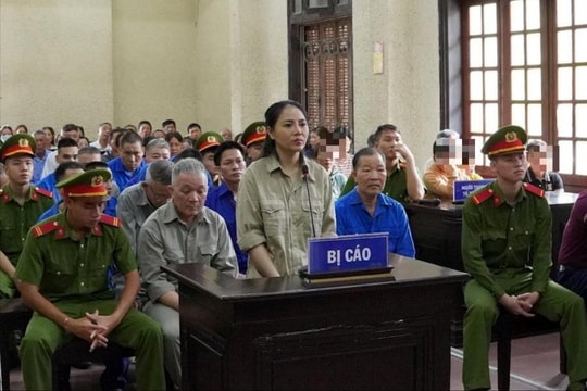Nữ giám đốc chủ mưu đường dây trộm cắp tài sản tại Nhà máy Nhiệt điện BOT Hải Dương lĩnh án 15 năm tù