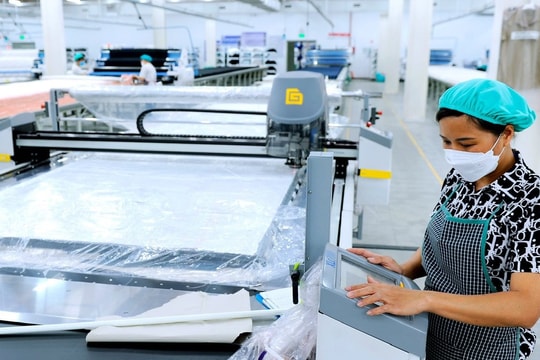 Kim ngạch xuất khẩu 7 tháng của Hải Dương tăng gần 8%