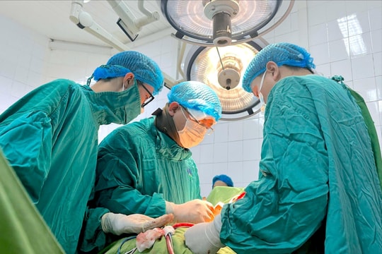 Hải Dương phấn đấu có 10% số người được tuyển dụng vào làm việc tại cơ quan nhà nước là nhân tài