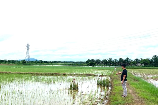 Kim Thành khẩn trương giải phóng mặt bằng dự án đường trục Đông - Tây giai đoạn 2 để sớm hoàn thành toàn tuyến