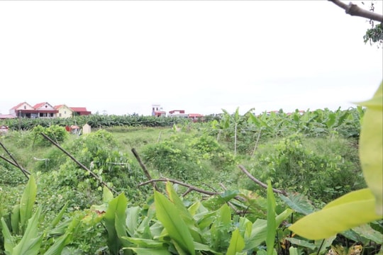 Kinh Môn gỡ khó trong giải phóng mặt bằng