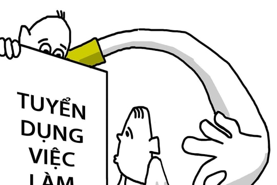 Tìm việc online, coi chừng bị móc túi