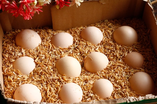 8 cách bảo quản trứng không cần tủ lạnh