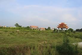 Xót đất bỏ hoang