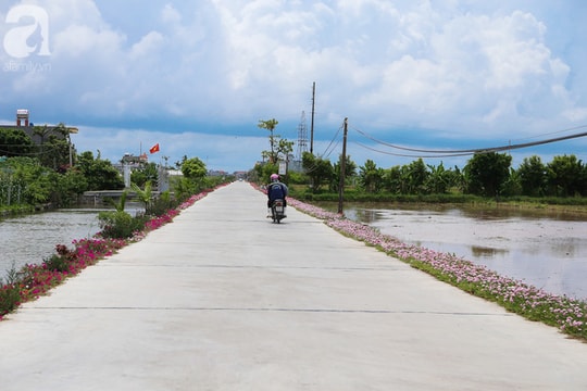 Hai hộ "ổ voi"