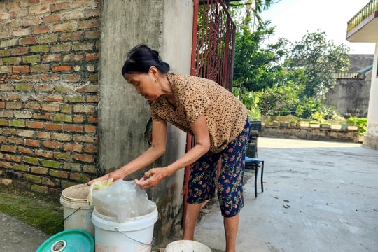 Kinh phí xử lý rác tại các xã thí điểm phân loại rác thải ở Bình Giang giảm hơn 70%