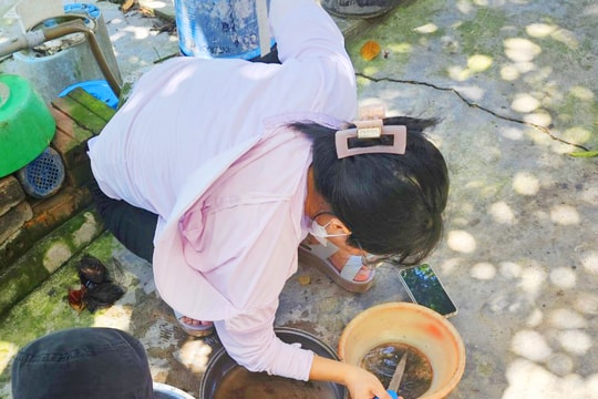 Cẩm Giàng còn 2 ổ dịch sốt xuất huyết đang hoạt động