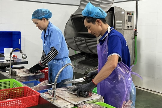 Mô hình “Dân vận khéo” của các cấp Hội Nông dân Hải Dương góp phần nâng cao hiệu quả kinh tế từ 10 -15%