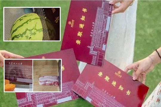 Giấy báo đỗ đại học bổ được dưa, băm được thịt khiến giới trẻ "phát cuồng"