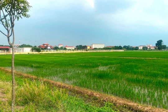 Trên 974 tỷ đồng đầu tư xây dựng khu đô thị mới Lai Cách (Cẩm Giàng) giai đoạn 1