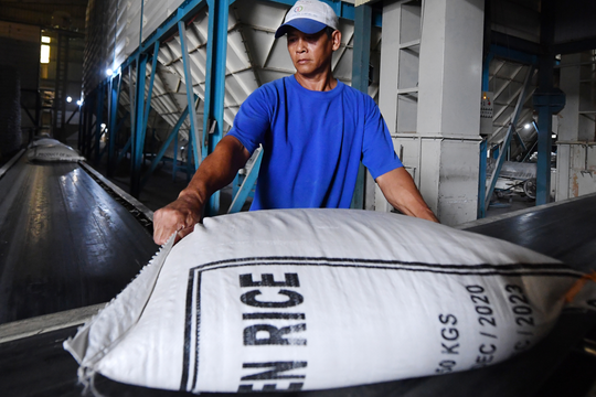 Ngược chiều đối thủ, giá "hạt ngọc Việt" vọt lên đắt đỏ nhất thế giới