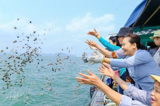 Phóng sinh thế nào là đúng cách?