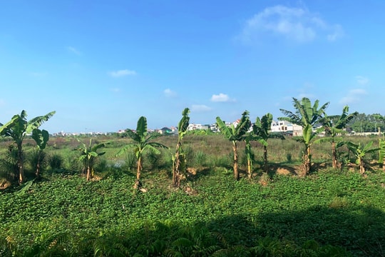 Khi nào TP Hải Dương bàn giao mặt bằng xây dựng khu đô thị mới Thạch Khôi rộng hơn 30 ha?