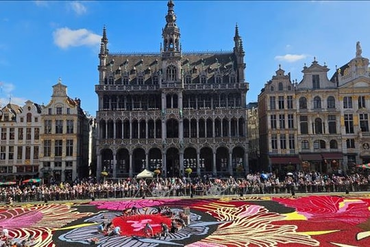 Rực rỡ thảm hoa Brussels 2024