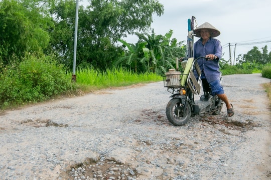 Mặt đê sông Luộc qua 2 xã Hồng Phong, Hiệp Lực (Ninh Giang) chằng chịt "ổ gà"