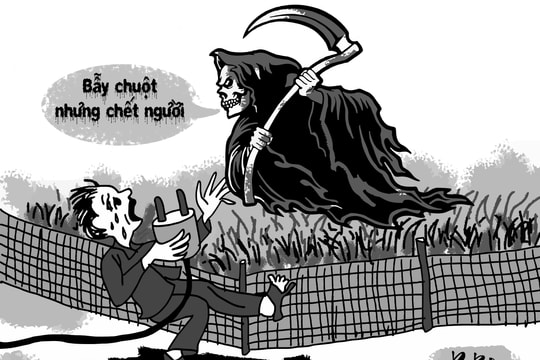 Bẫy chuột hại người