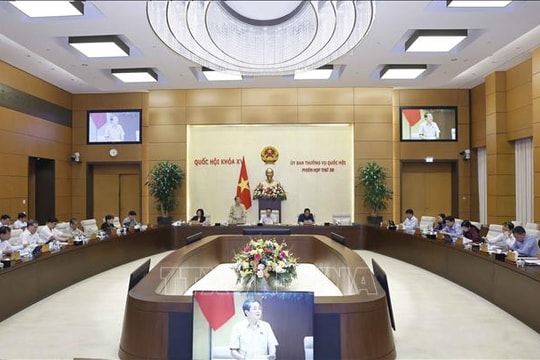 Đánh giá toàn diện việc thực hiện các nghị quyết về giám sát chuyên đề và chất vấn