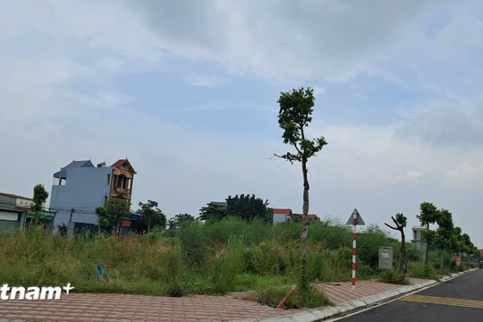 Đấu giá đất cao gấp hơn 18 lần ở Hoài Đức: Giá cao kỷ lục, chuyên gia nói gì?