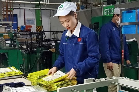 Hải Dương đầu tư xây dựng cơ sở dữ liệu lao động - việc làm