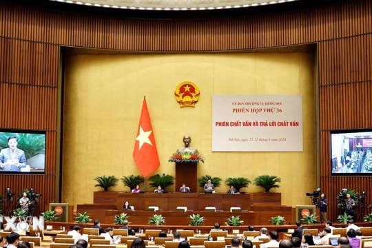 Đại biểu Quốc hội Nguyễn Thị Việt Nga (Hải Dương) chất vấn về việc trả hồ sơ, yêu cầu điều tra bổ sung