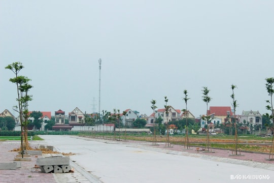 Thủ tướng yêu cầu 4 bộ vào cuộc kiểm tra đấu giá đất có biểu hiện bất thường