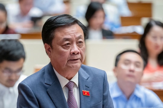 Câu trả lời làm Bộ trưởng Lê Minh Hoan đắng lòng khi nông dân đốn điều trồng sầu riêng