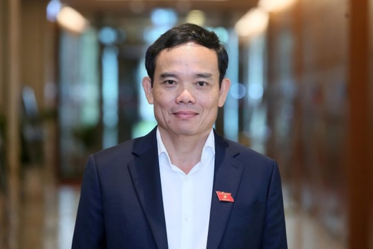 Trưởng Ban Kinh tế Trung ương Trần Lưu Quang từng trải qua những chức vụ nào?