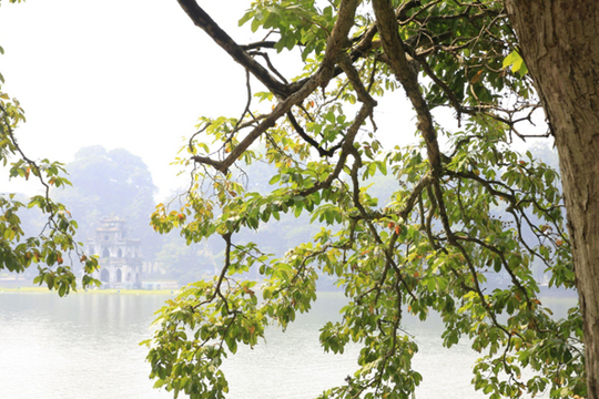 Ideal destinations to enjoy autumn in Northern Vietnam