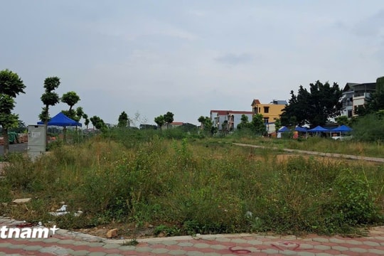Tạm dừng đấu giá đất ở Hoài Đức để Bộ Tài nguyên và Môi trường vào cuộc kiểm tra