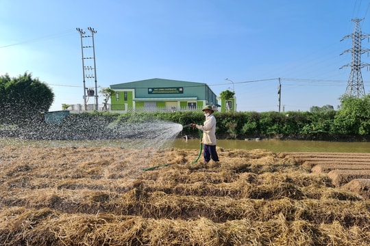 Hải Dương có trên 30% số hợp tác xã nông nghiệp sản xuất theo chuỗi giá trị