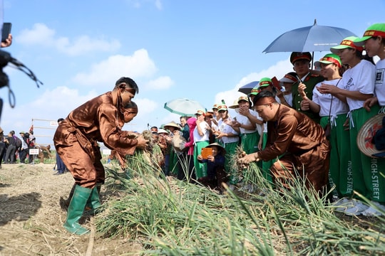 Kinh Môn xây dựng vùng nông nghiệp đa giá trị
