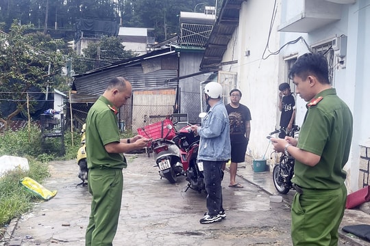 Chủ nuôi chi hàng trăm triệu đồng mua chó Alaska để kinh doanh chụp ảnh ở Đà Lạt