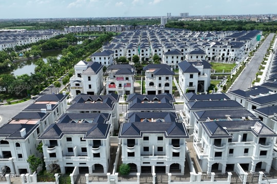 Hàng nghìn biệt thự bỏ hoang nơi đất đấu giá 130 triệu đồng/m2